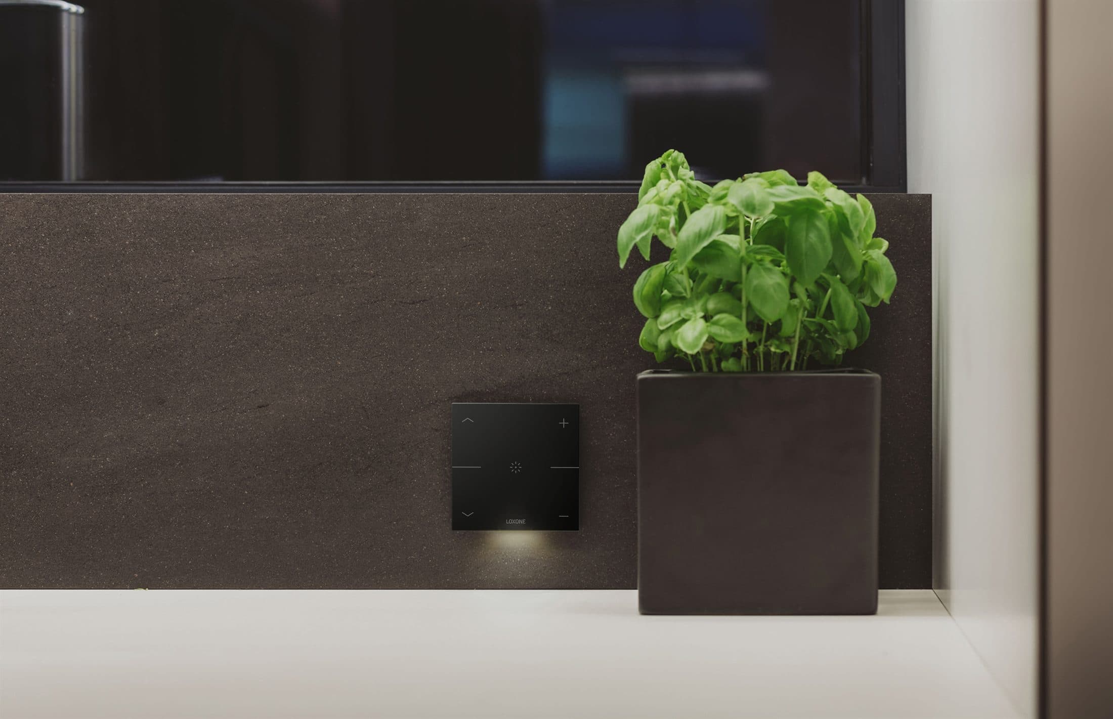 A discreet Loxone Touch surface set into a dark stone wall beside fresh herbs
